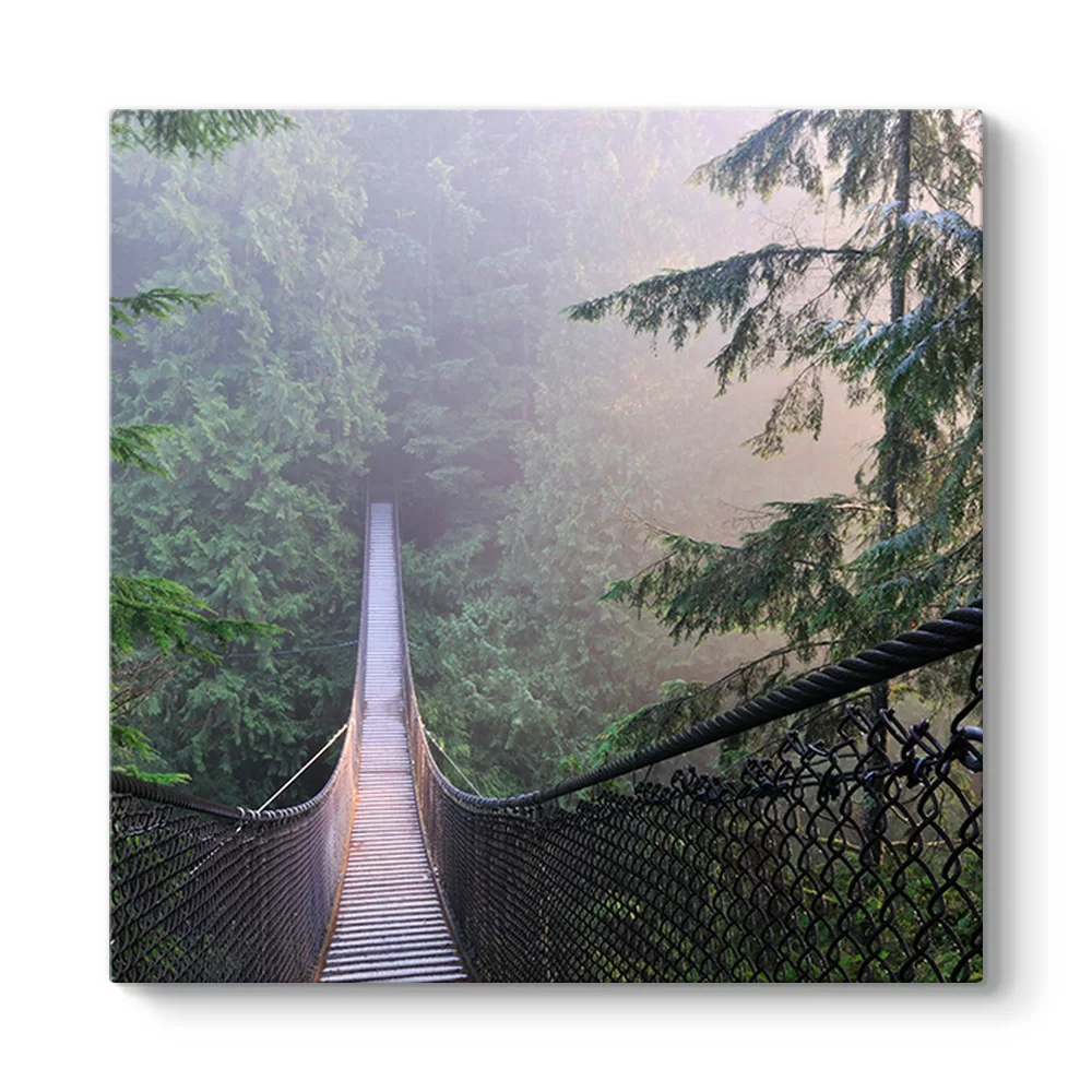 Kanada Lynn Canyon Park Tablosu - Model 3